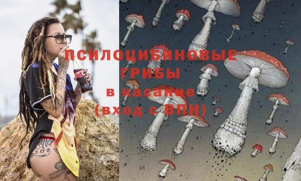 СК Алексин