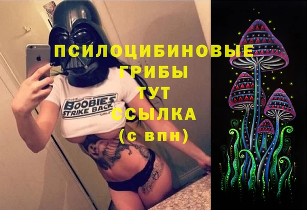 СК Алексин