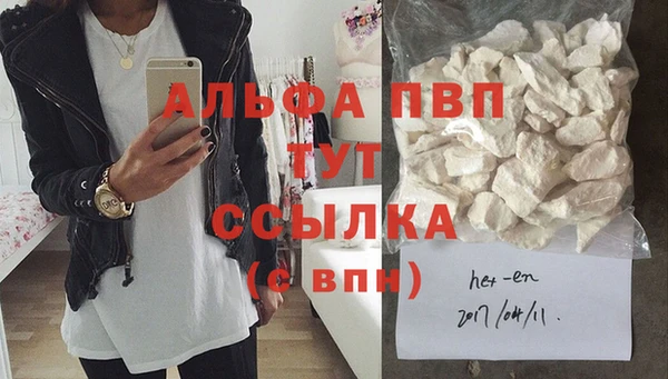СК Алексин