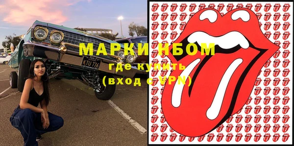 СК Алексин