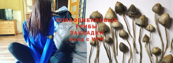 гидропоника Алексеевка