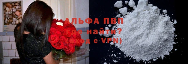 СК Алексин