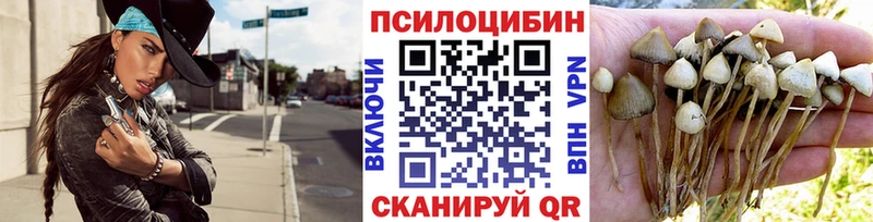 Псилоцибиновые грибы мухоморы  купить наркотик  Дыгулыбгей 